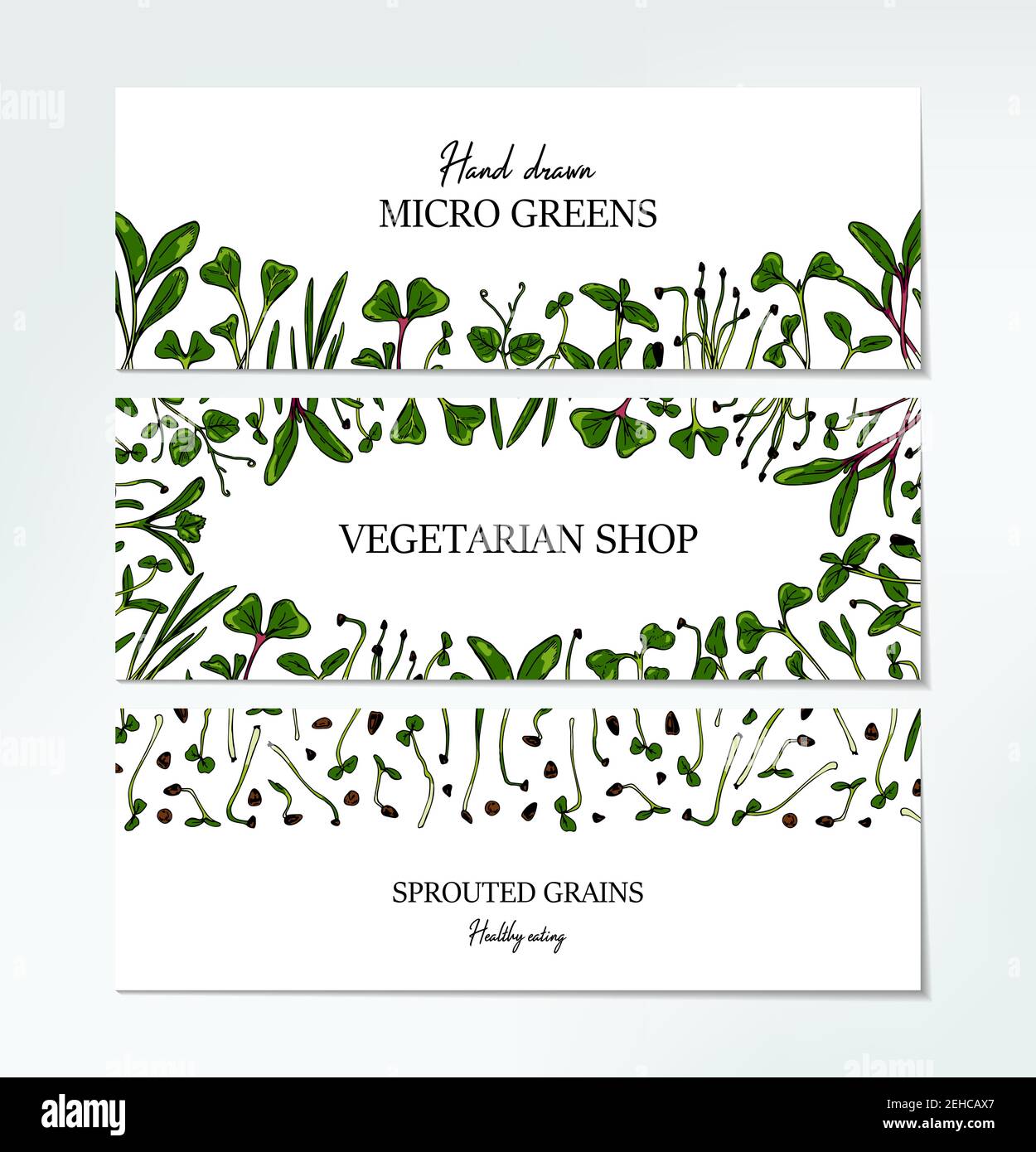 Set di striscioni orizzontali micro verdi disegnati a mano. Sano vegetariano e vegan food design per logo aziendale, stampa, confezioni. Illustrazione vettoriale Illustrazione Vettoriale