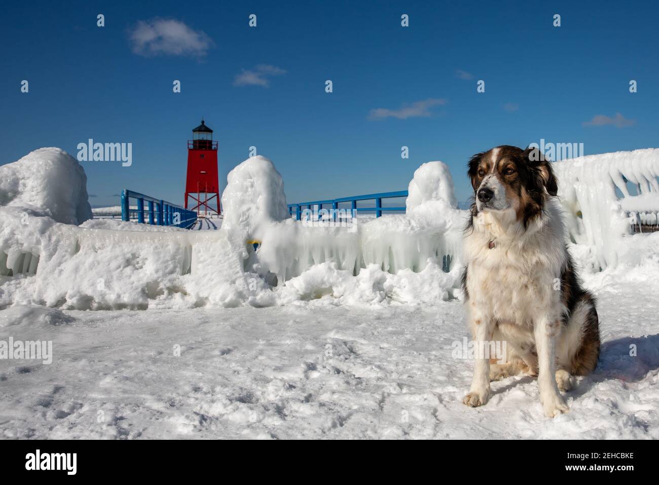 Un cane pastore di fronte al faro di Charlevoix congelato Foto Stock