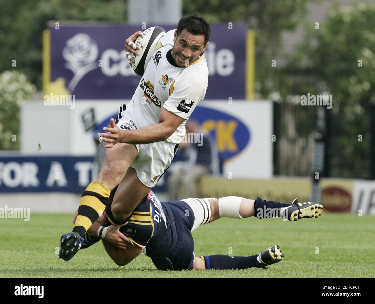 Rugby Union - Leeds Carnegie / London Wasps Guinness Premiership - Headingley Carnegie - 10/5/08 London Wasps' Riki Flutey è affrontato da Alberto di Bernardo di Leeds Mandatory Credit: Action Images / Lee Smith Foto Stock