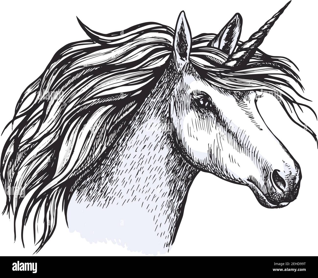 Unicorno testa schizzo di cavallo magico con corno. Animale da favola o mitico con pelliccia grigia e creme ricci per tatuaggio, stemma araldico medievale o t-shirt Illustrazione Vettoriale