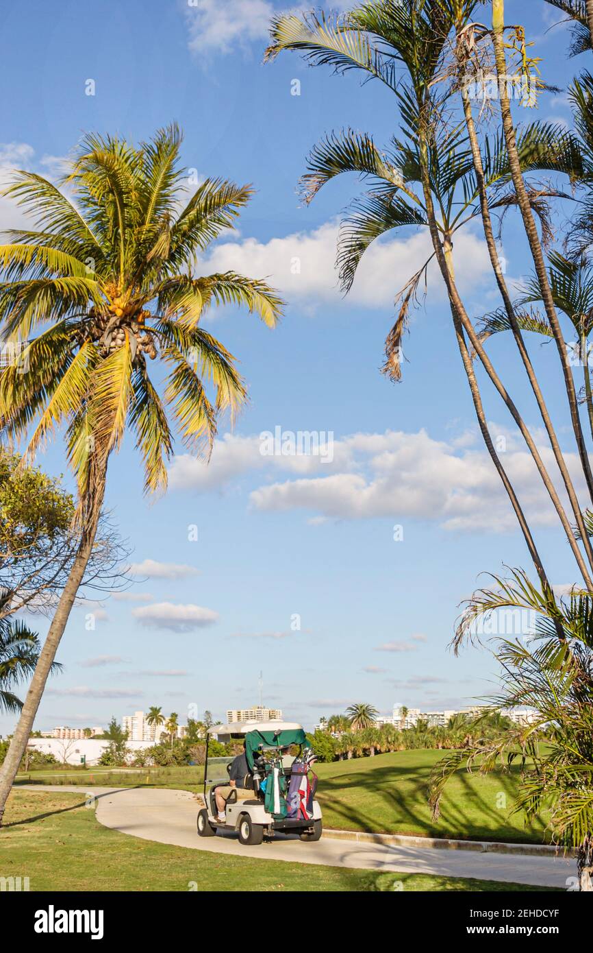 Miami Beach Florida, campo da golf Club percorso elettrico cart palme, Foto Stock
