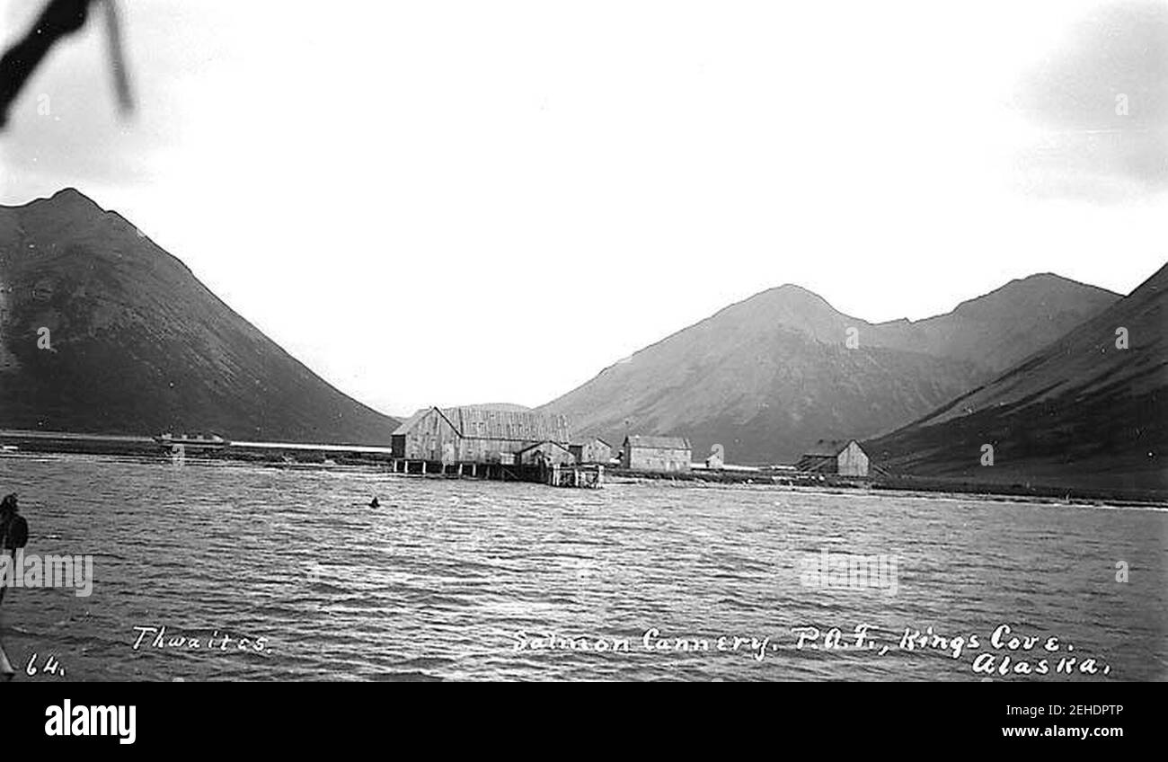 Pacific American Fisheries cannery, King Cove, ca. 1912 Foto Stock