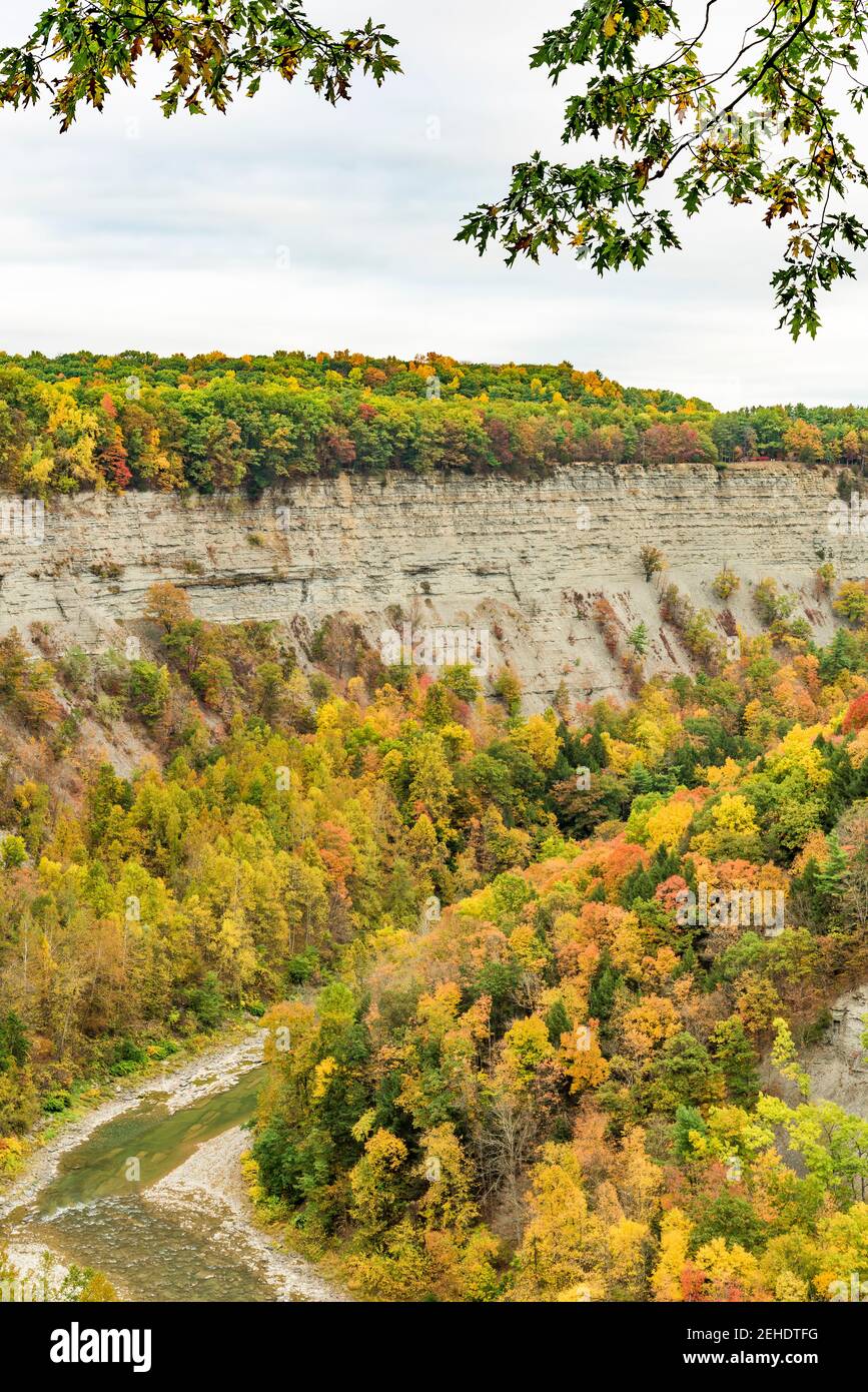 Great Bend, fiume Genesee e gola al Letchworth state Park, Wyoming County, New York Foto Stock