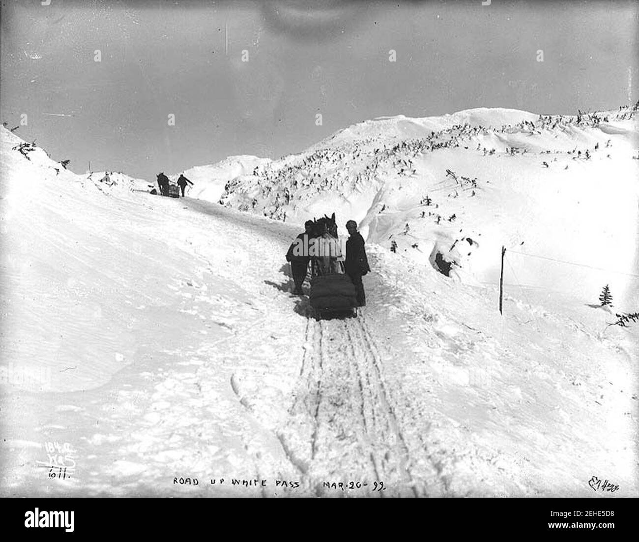 Imballare il White Pass Trail con slitte trainate da cavalli, Alaska, 20 marzo 1899 Foto Stock