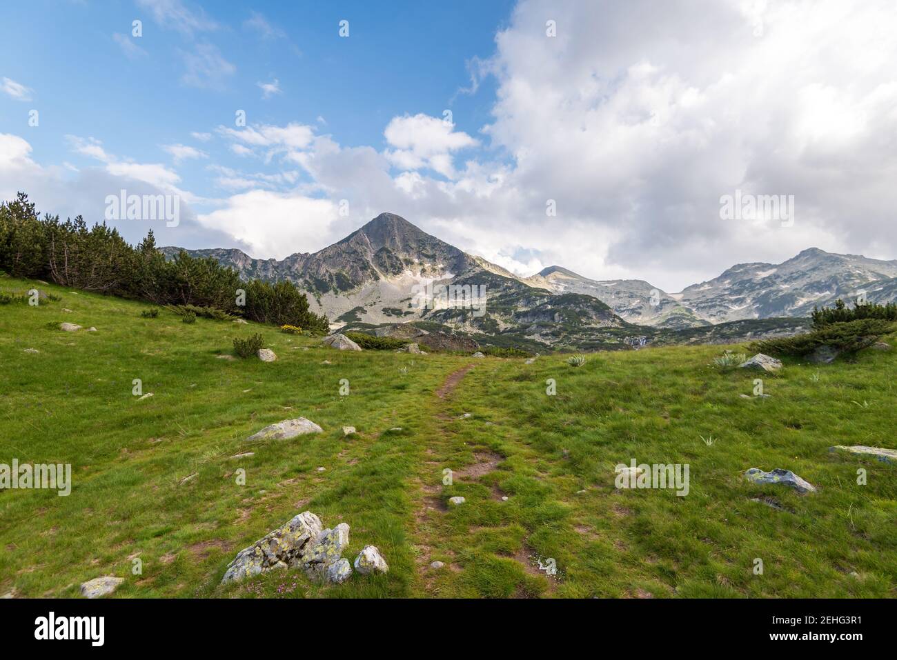 Paesaggio paesaggio estivo, montagna Pirin, Bulgaria. Foto Stock