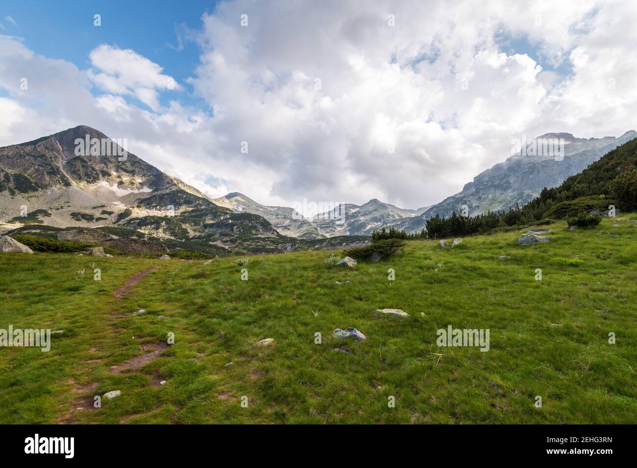 Paesaggio paesaggio estivo, montagna Pirin, Bulgaria. Foto Stock