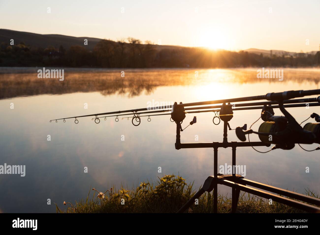 Le avventure di pesca, la pesca alla carpa. Il pescatore, al tramonto, è la pesca con carp fishing tecnica. Campeggio in riva al lago. Foto Stock