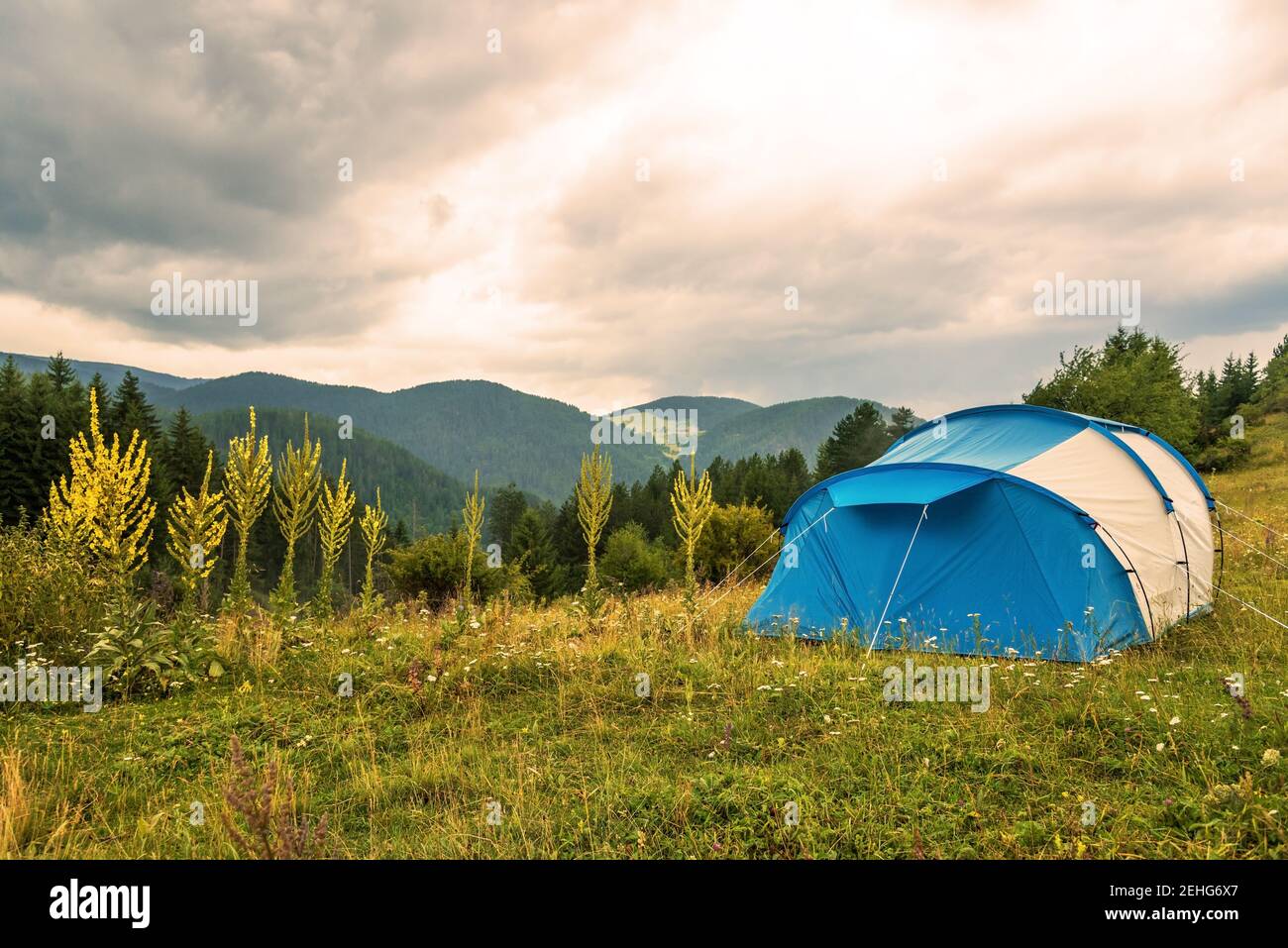 Paesaggio paesaggio della tenda da campeggio sul campo di erba con sfondo di foreste e montagne e il cielo al tramonto nel parco naturale. Foto Stock