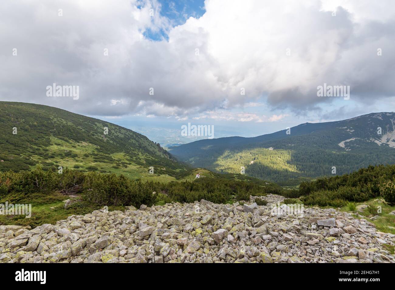 Paesaggio paesaggio estivo, montagna Pirin, Bulgaria. Foto Stock
