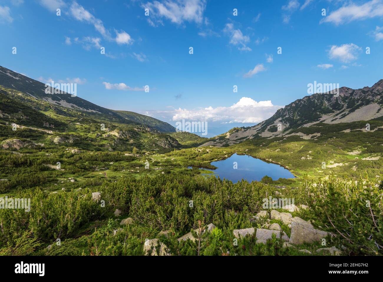 Paesaggio paesaggio estivo, montagna Pirin, Bulgaria. Foto Stock