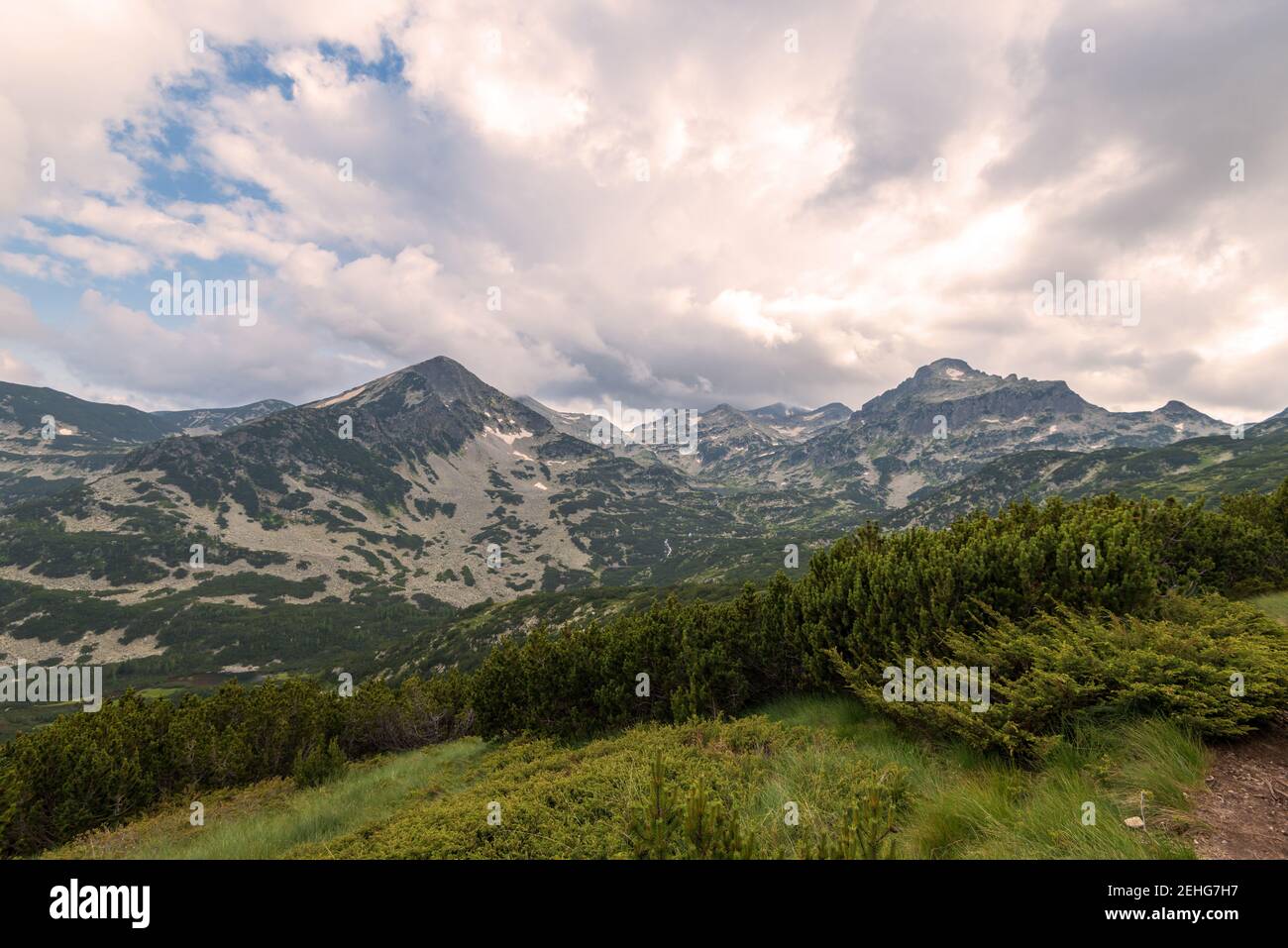 Paesaggio paesaggio estivo, montagna Pirin, Bulgaria. Foto Stock