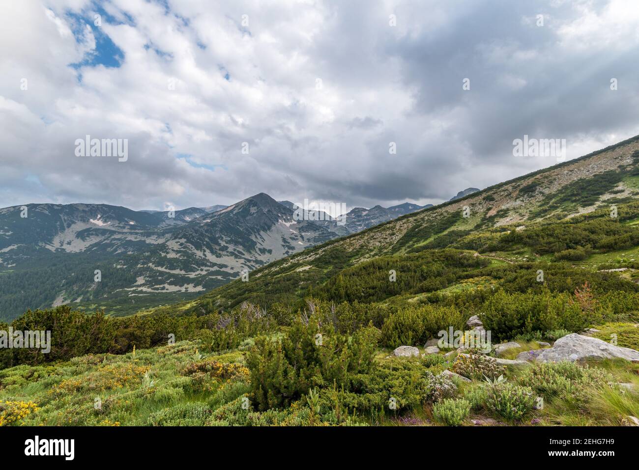 Paesaggio paesaggio estivo, montagna Pirin, Bulgaria. Foto Stock