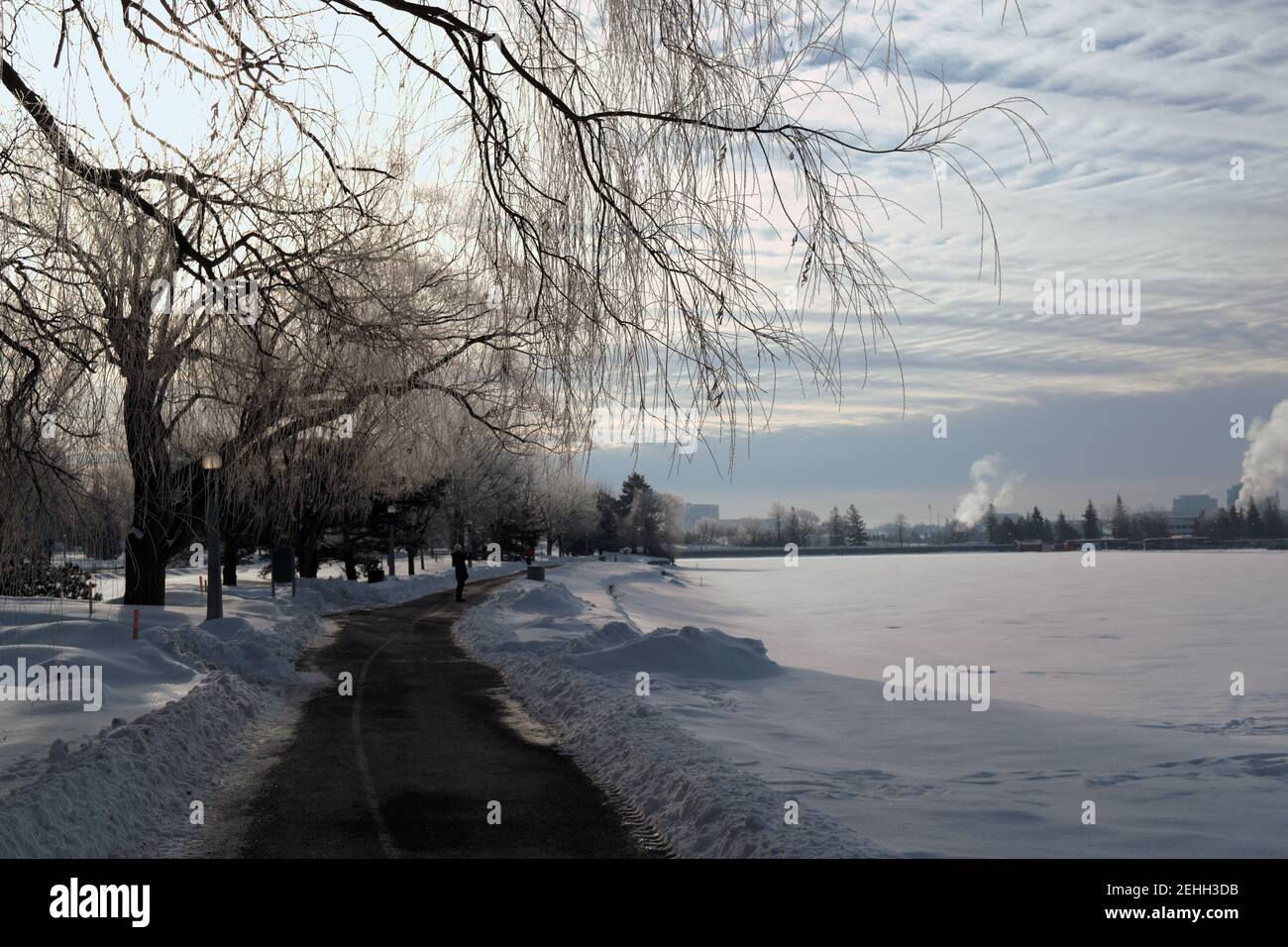Scene invernali da Ottawa - pista ciclabile presso il lago Dow's in una mattinata fredda e gelida all'alba. Ontario, Canada. Foto Stock
