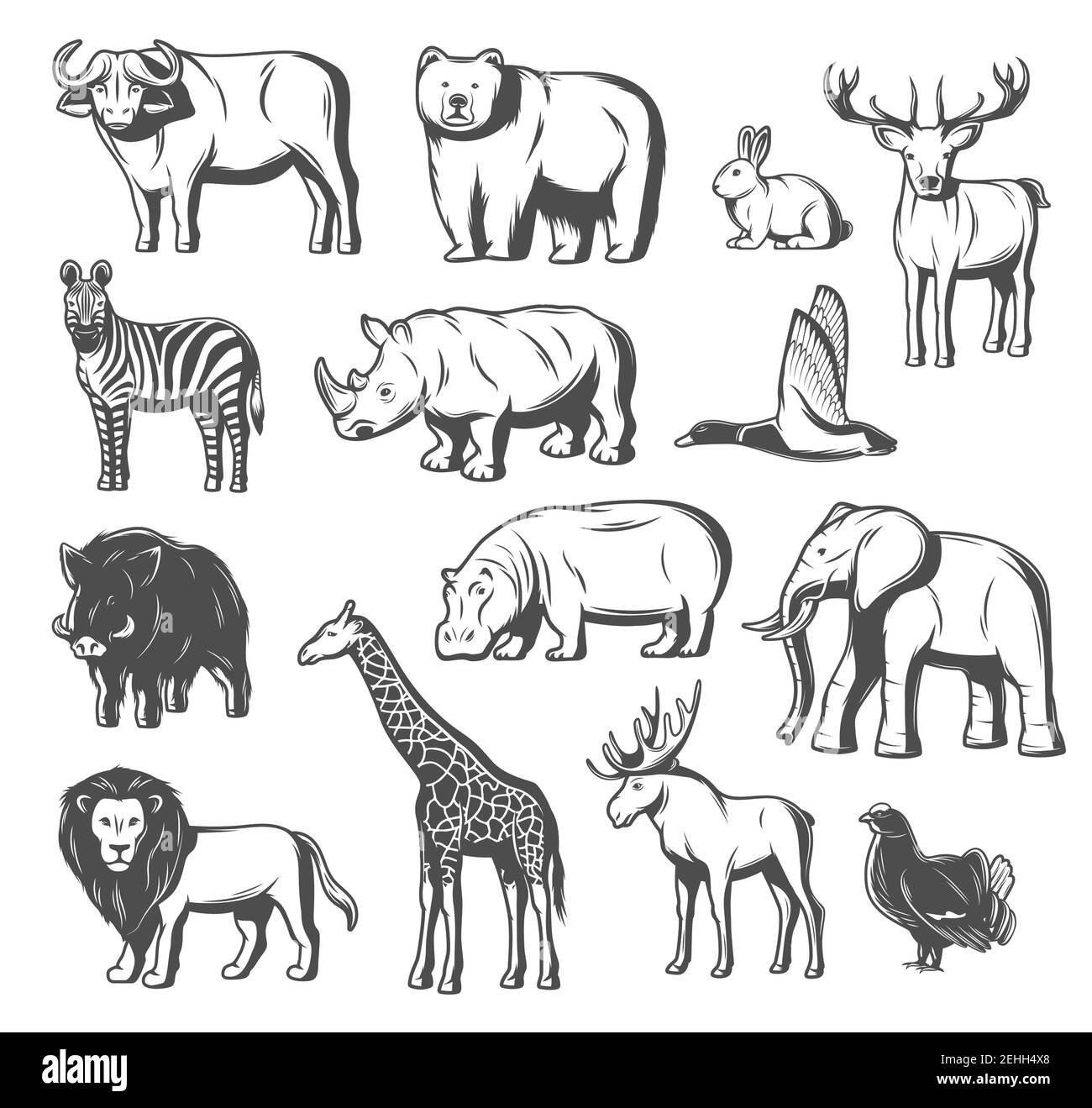 Icone di animali e uccelli per lo zoo o la caccia. Vettore isolato orso selvatico, bufalo bue o alci e cervi, arachena, fagiano o uccello cazzo e Africa Illustrazione Vettoriale