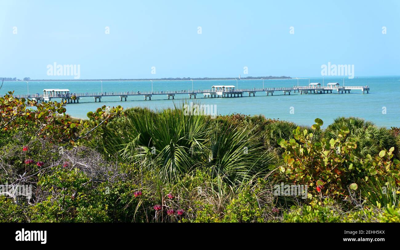 La vista a distanza del molo di pesca e vegetazione verde vicino Fort Desoto Park, San Pietroburgo, Florida, Stati Uniti Foto Stock