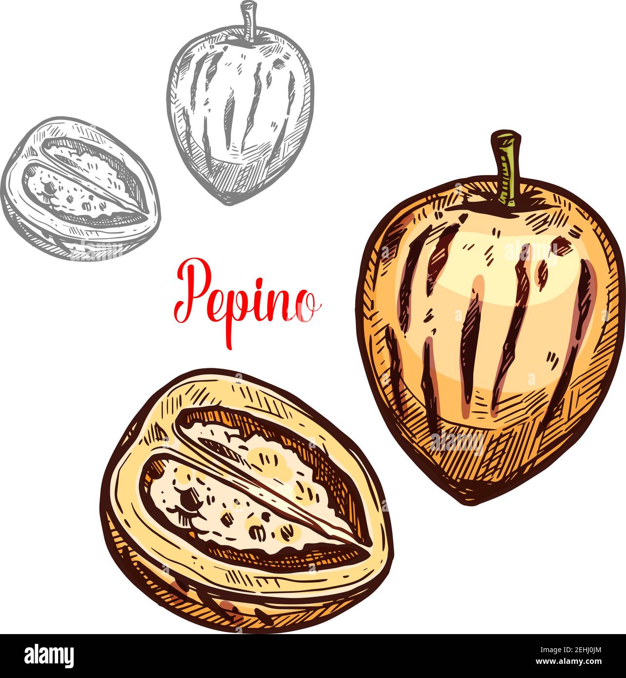 Pepino frutto schizzo di pera esotica di melone. Intera e tagliata a metà  bacca di pepe con buccia gialla icona isolata per l'ingrediente tropicale  del dessert, vegetaria Immagine e Vettoriale - Alamy