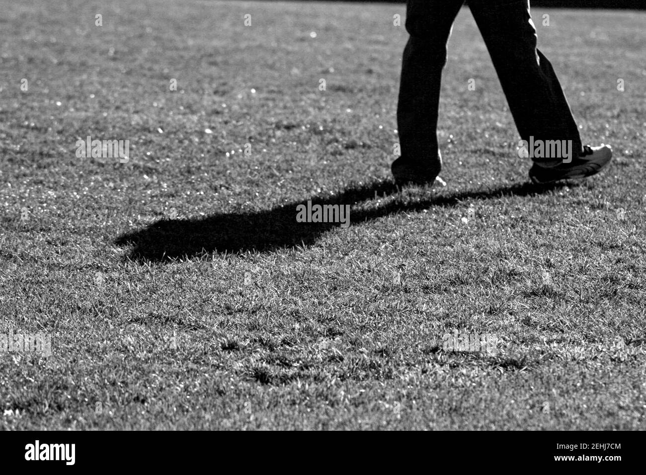 L'ombra dell'uomo sull'erba in scala di grigi Foto Stock