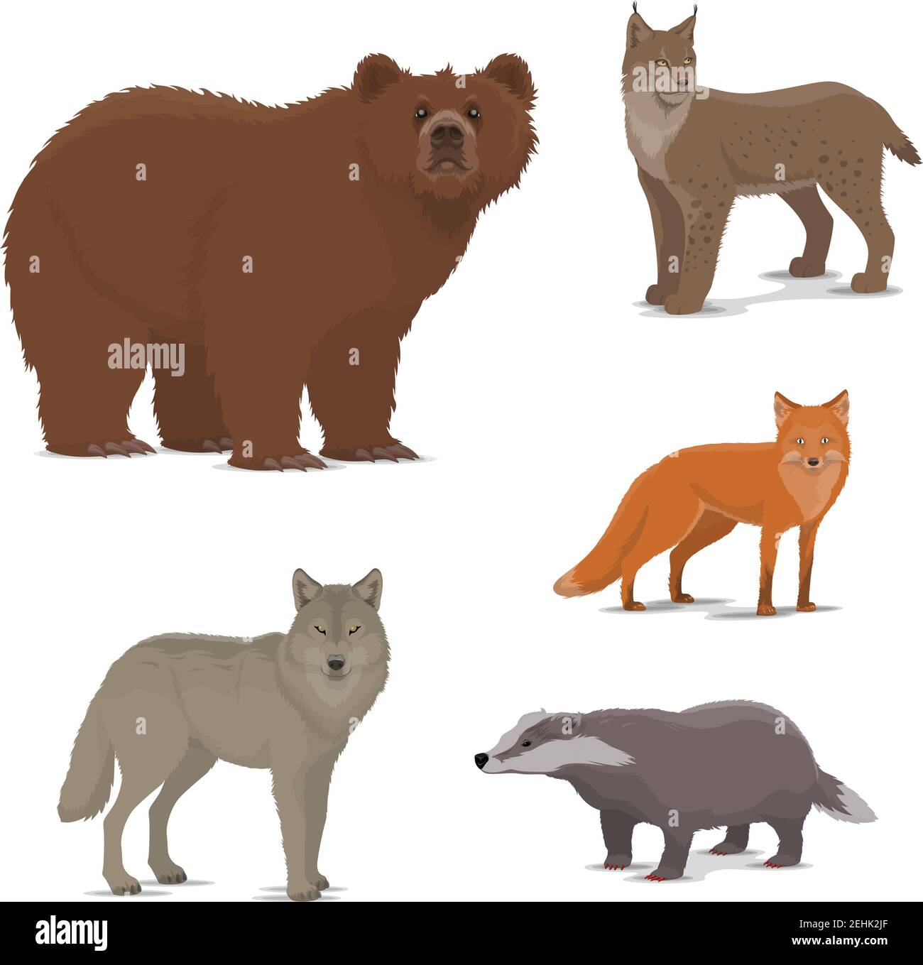 Icone vettoriali di animali selvatici. Orso e lince, volpe e tasso, lupo. Bobcat o selvatico e orso bruno, predatore e brock. Foreste mammiferi isolati. Zoo o. Illustrazione Vettoriale