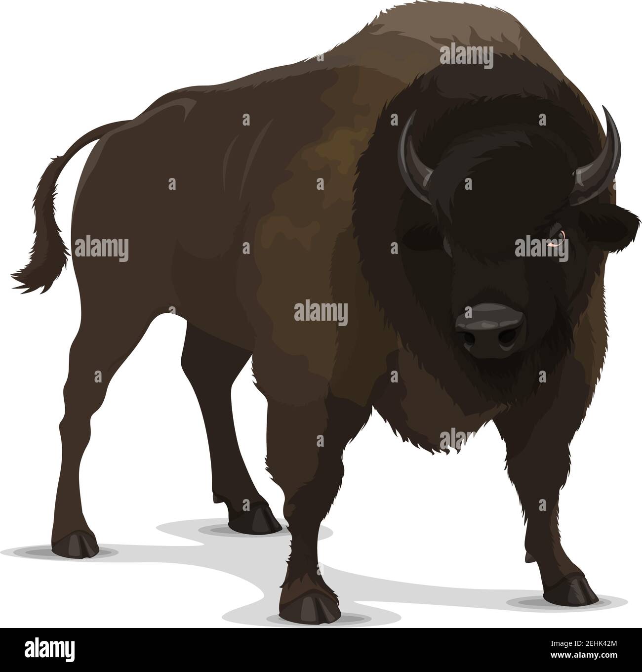 Bisonte carattere selvatico animale cartone animato. toro marrone isolato di buoi o mammiferi bufali in posa aggressiva. Simbolo dello zoo, emblema del club sportivo di caccia o fauna selvatica Illustrazione Vettoriale