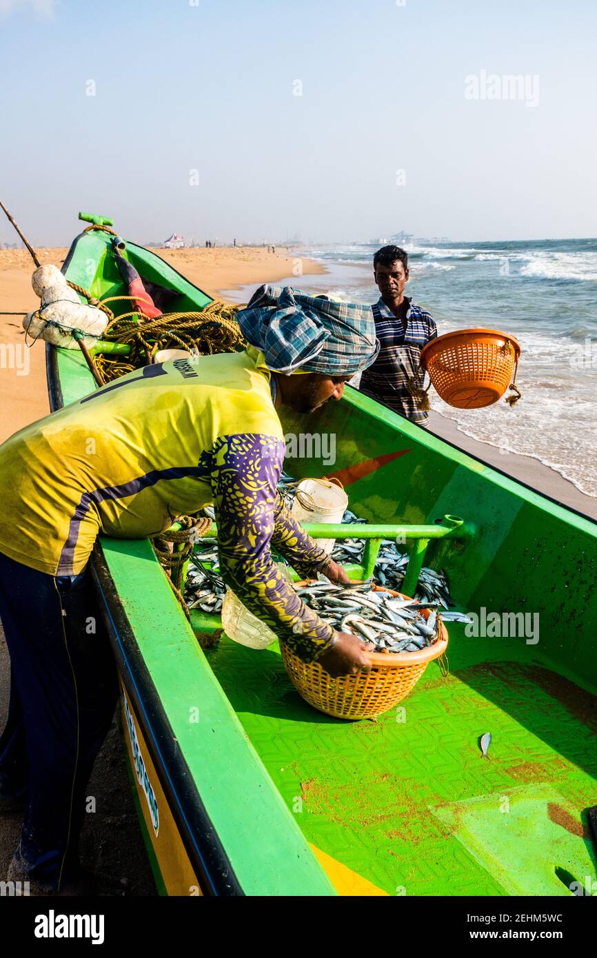 Pescatore che scaricano cestino di pesce dalla barca dopo il fermo Foto Stock
