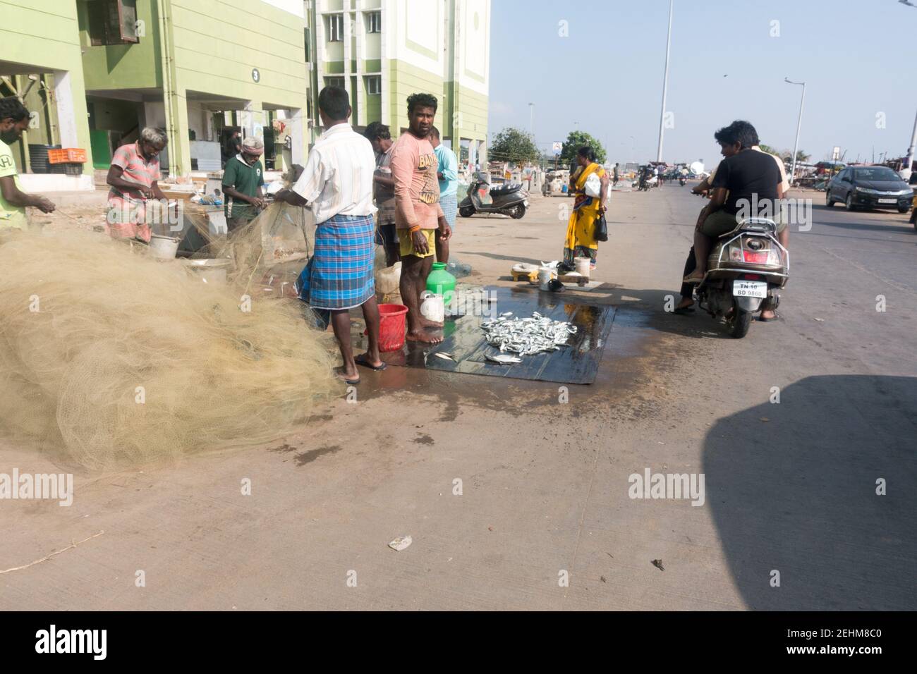 Chennai (Madras) pescatore che vende pesce sul lato della strada vicino Spiaggia di Chennai Marina Foto Stock
