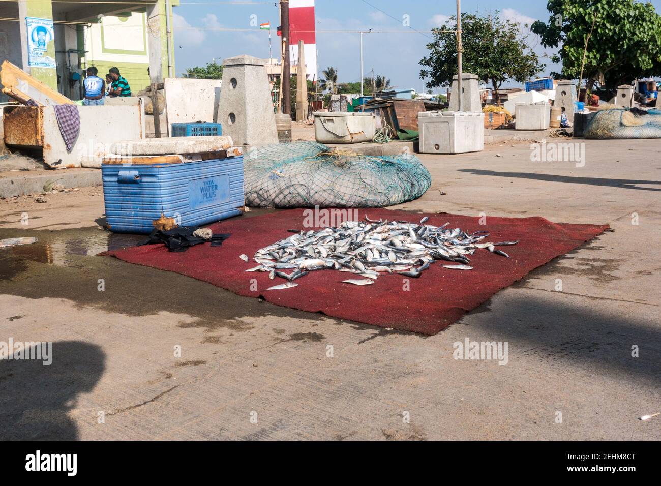 Chennai (Madras) pescatore che vende pesce sulla strada a Chennai Marina con faro sullo sfondo Foto Stock