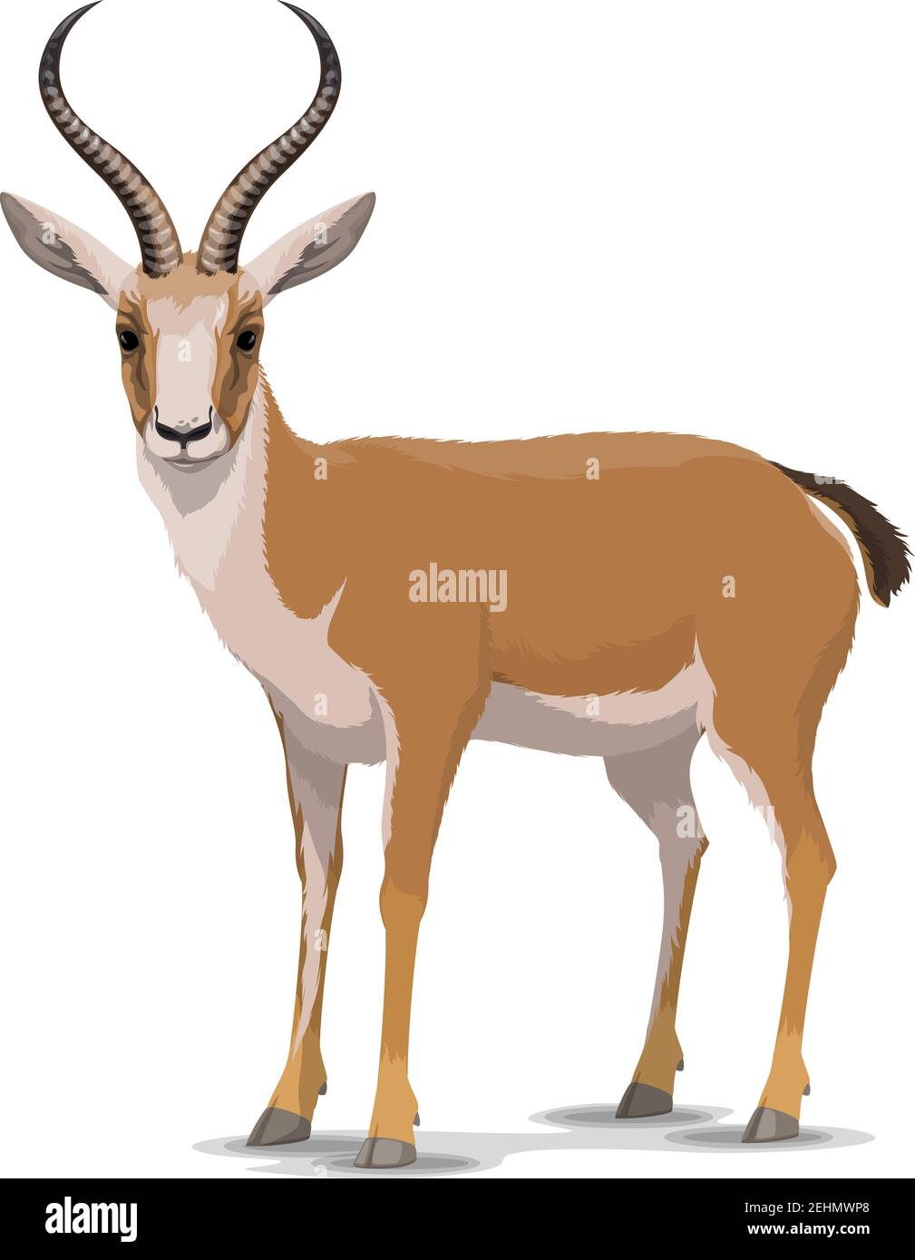 Goitreed gazelle personaggio animale. Vettore isolato cartoon africano selvatico gazzelle coda nera specie con corna lunghe. Zoo, zoologia o caccia in mare aperto Illustrazione Vettoriale
