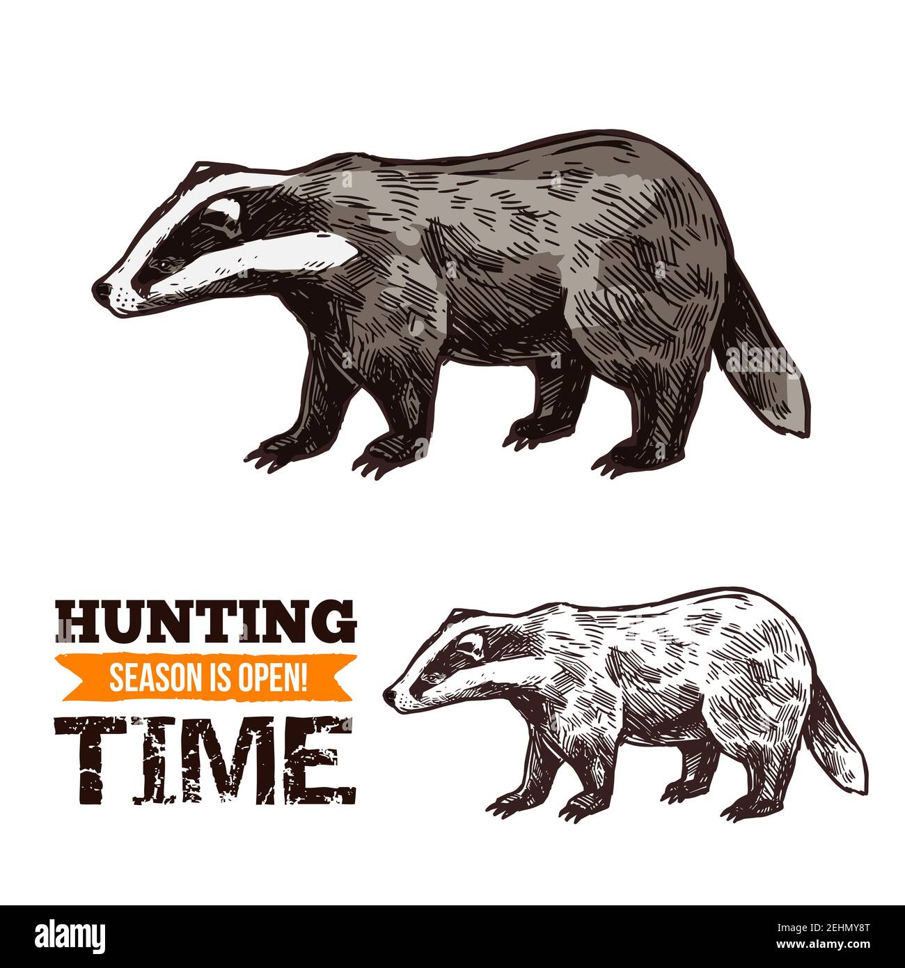 Abbozzo animale Badger, caccia stagione aperta o società di cacciatori e tema club di caccia. Vettore isolato tasso foresta selvaggia, caccia animale avventura Illustrazione Vettoriale