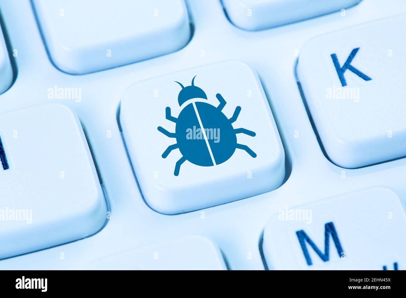 Computer Internet virus Trojan bug sicurezza di rete sicuro simbolo blu tastiera Foto Stock