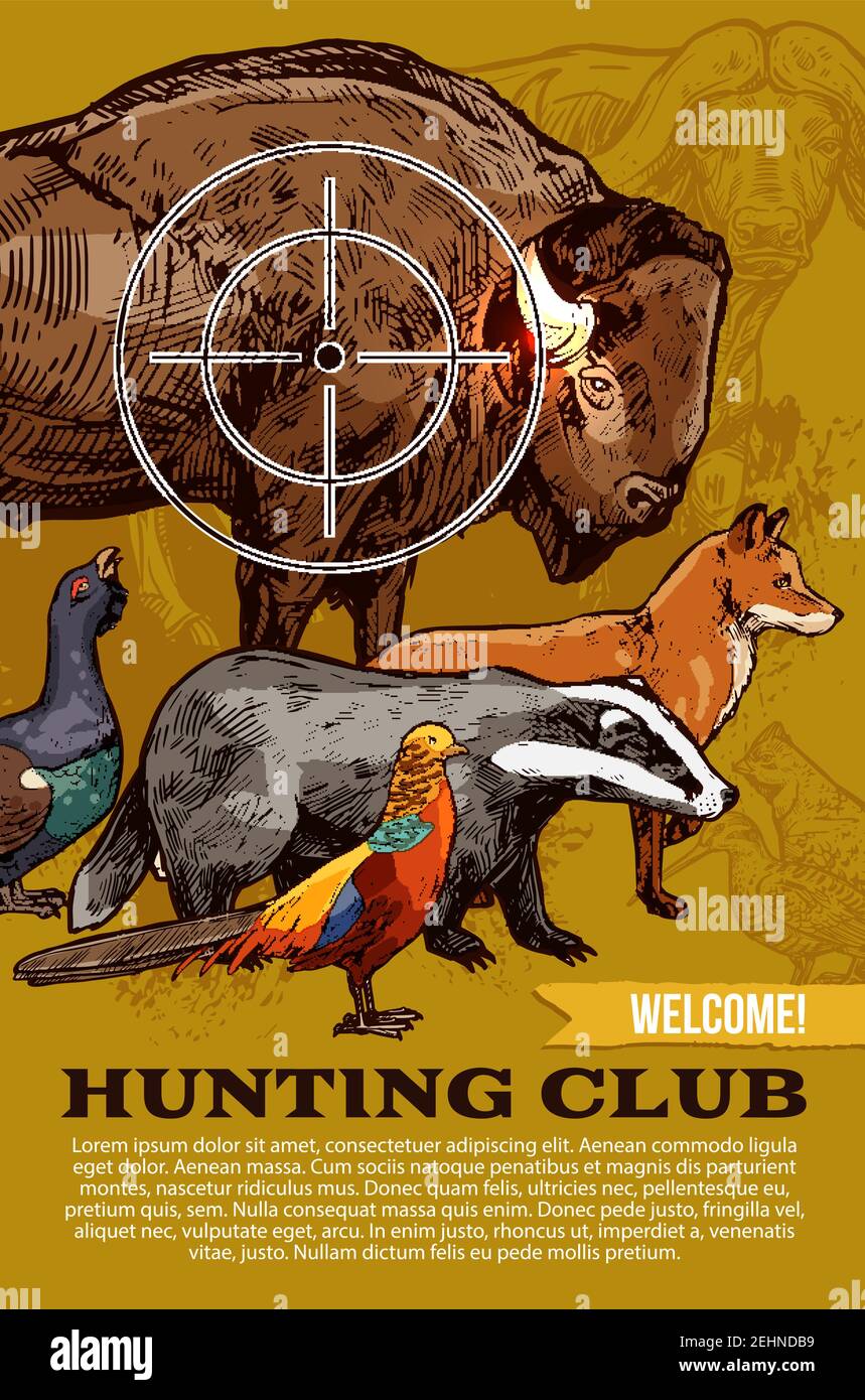 Poster di benvenuto per club di caccia o caccia aperto nella stagione. Disegno vettoriale del trofeo animale selvatico con bufalo Africano Safari, Grouse o Illustrazione Vettoriale