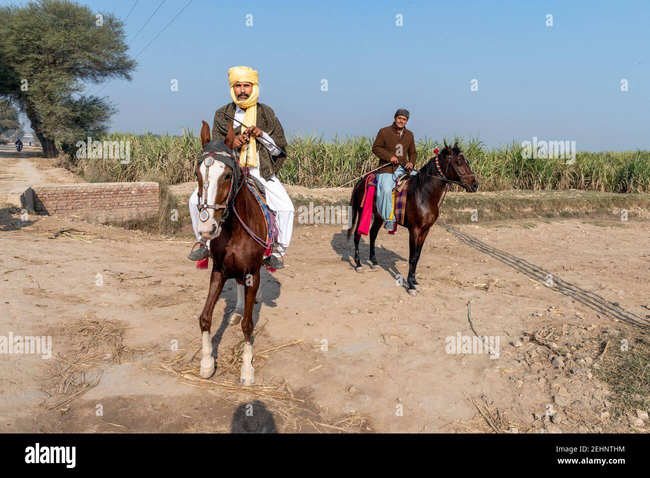 Abitanti del villaggio Equitazione cavalli, Punjab rurale, Pakistan Foto Stock