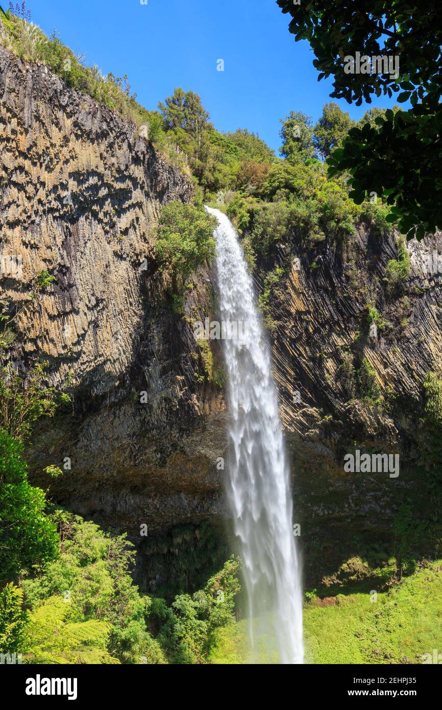 Bridal Veil Falls, una cascata alta e spettacolare nella regione di Waikato, Nuova Zelanda, che si innalza su una sporgenza rocciosa Foto Stock