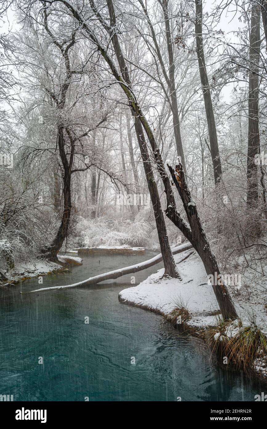 Sorgenti di zolfo caldo in un paesaggio innevato. Fonti del Lavino, Parco Nazionale della Maiella, Abruzzo Foto Stock