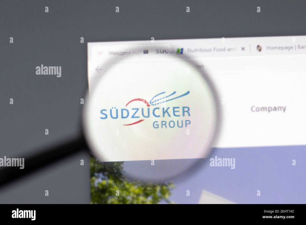 New York, USA - 15 Febbraio 2021: Sudzucker sito web in browser con logo aziendale, editoriale illustrativo Foto Stock