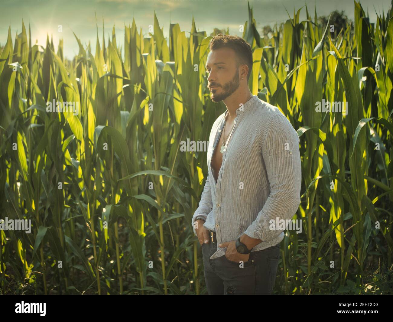 Giovane uomo bearded in campo di mais al tramonto Foto Stock