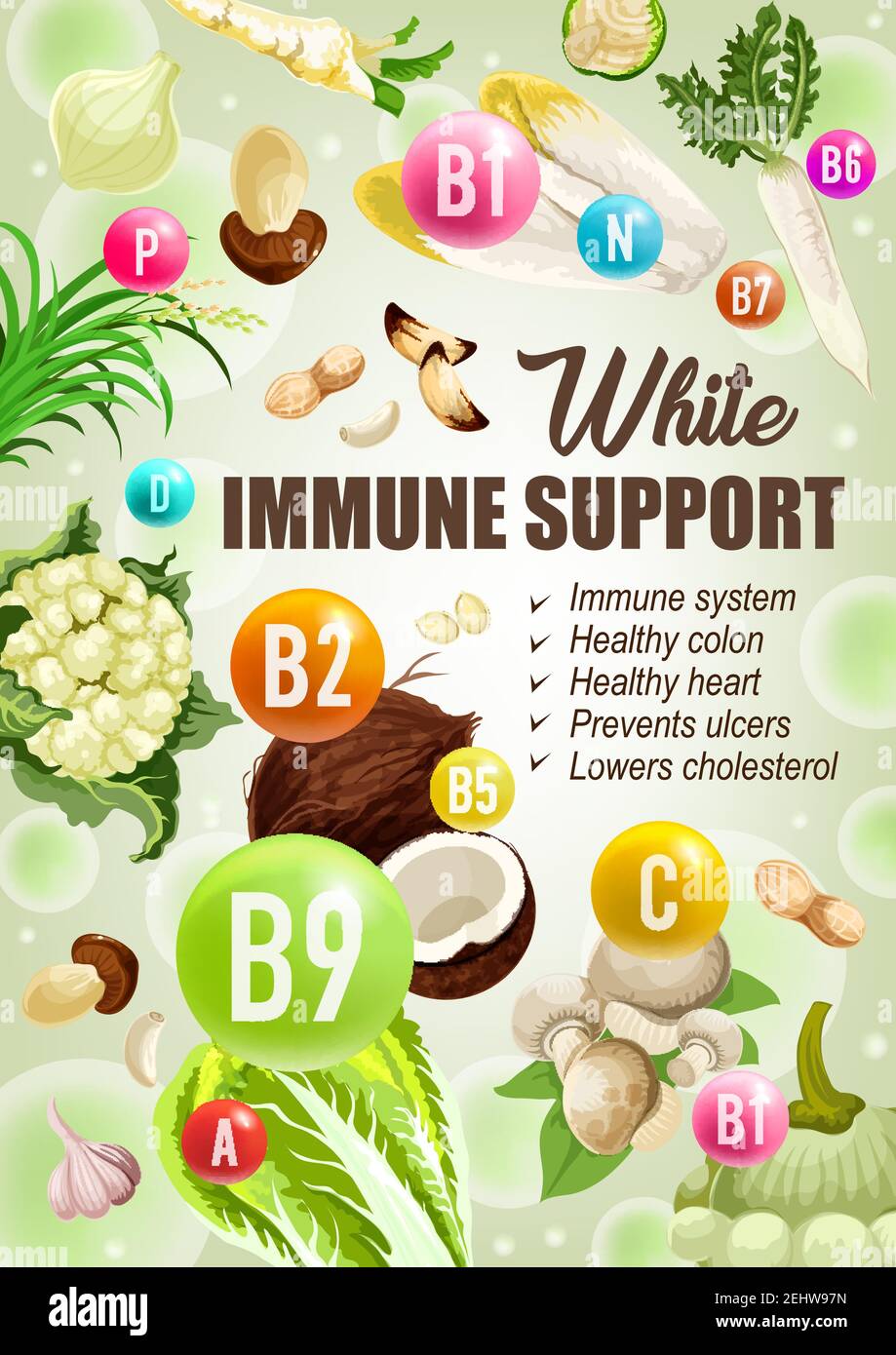 Dieta di colore bianco per il supporto immunitario, colon sano o cuore per la prevenzione delle ulcere. Vettore basso colesterolo dieta nutrizione di verdure bianche, insalate o Illustrazione Vettoriale