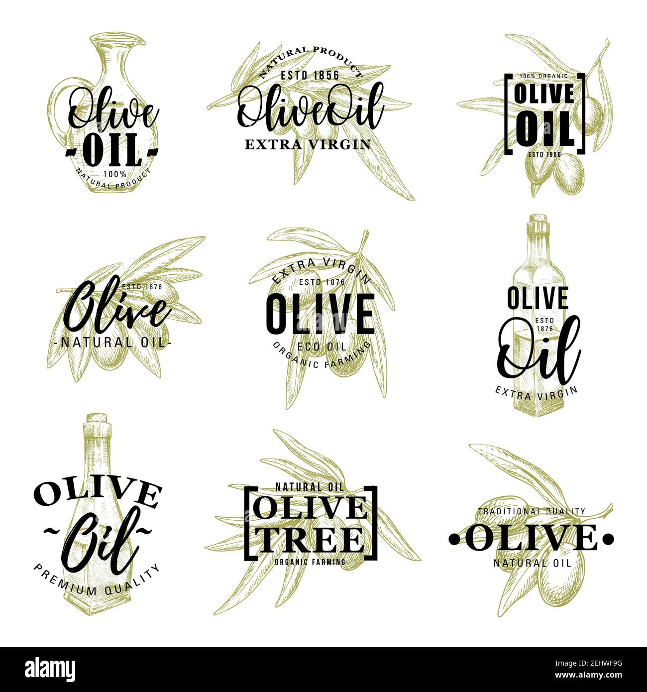 Olio d'oliva icone di olive verdi e nere, prodotti extra vergini in bottiglie e caraffe. Vector cucina biologica condimento ingrediente della cucina italiana, l Illustrazione Vettoriale