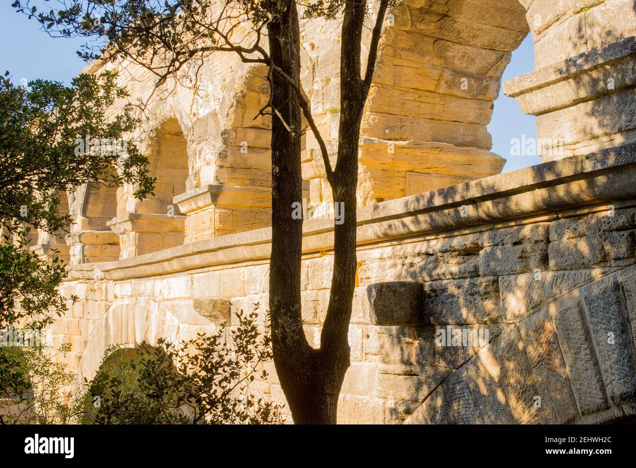 Un albero vicino ad un muro di mattoni Foto Stock