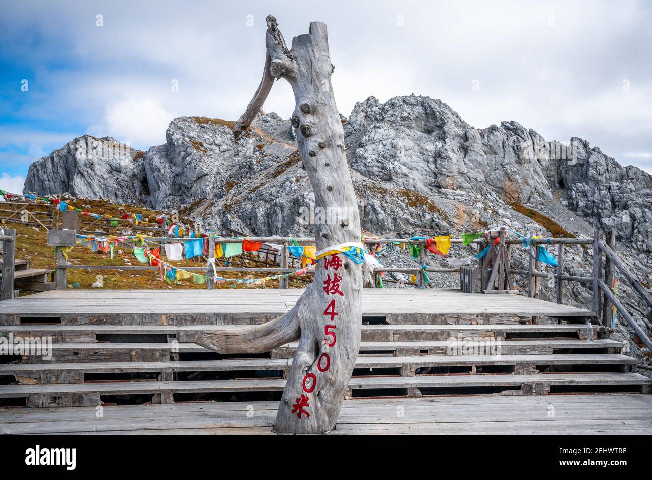 4500m segno di altitudine sul ramo dell'albero di fronte alla cima della neve Shika in Shangri-la Yunnan Cina (traduzione : altitudine ) Foto Stock