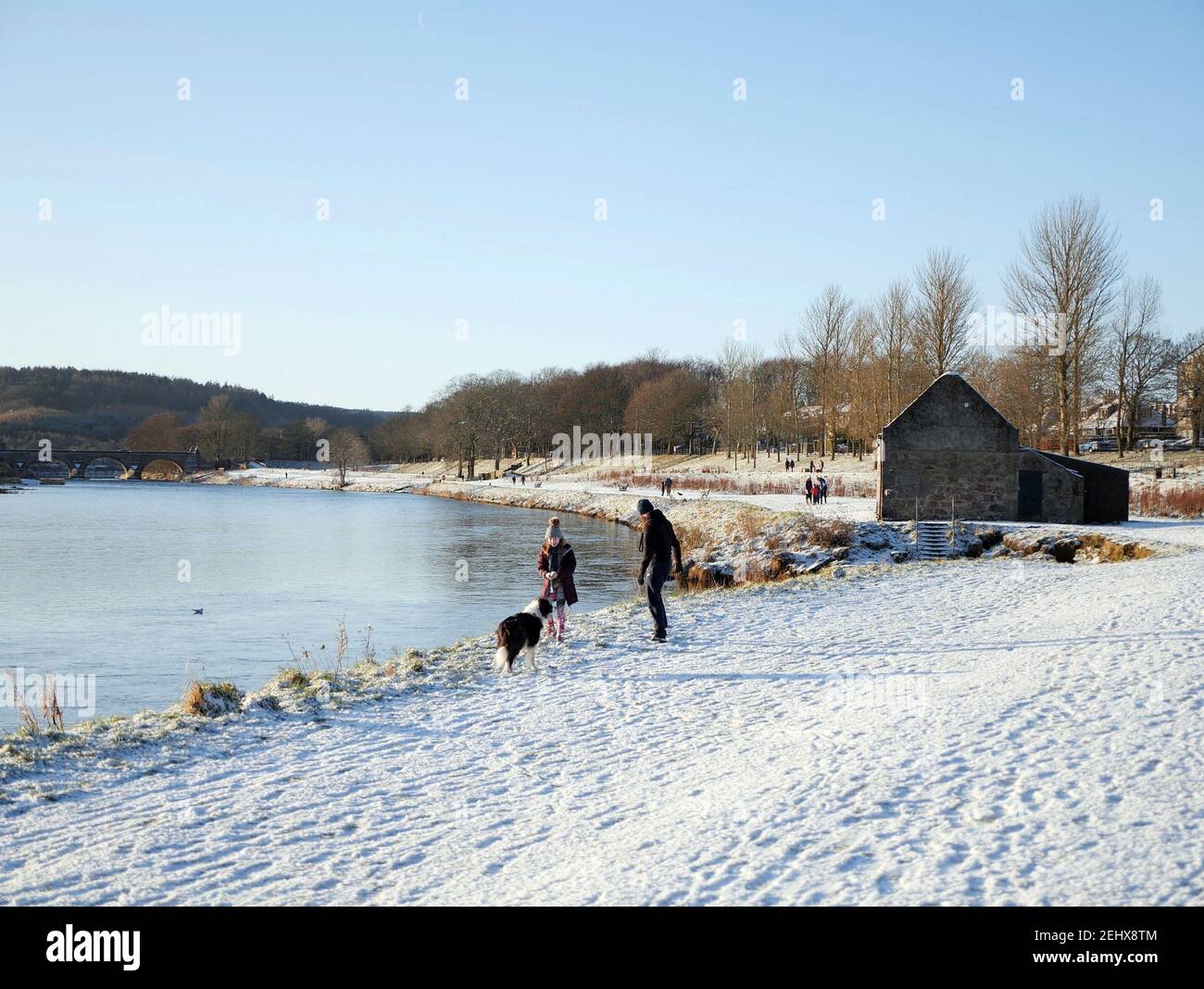 L'uomo e la figlia giocano con il cane collie nella neve sopra Rive del fiume Dee Foto Stock
