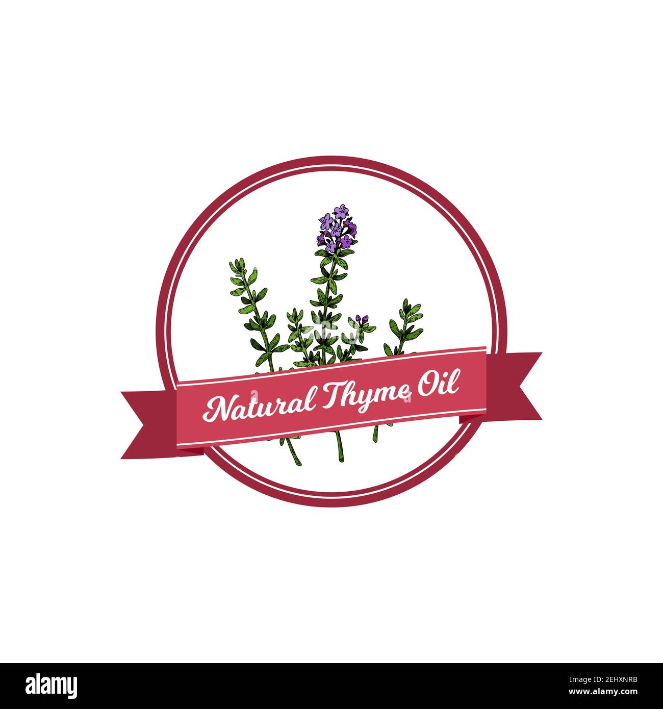 Logo in olio di timo naturale con elementi disegnati a mano. Illustrazione vettoriale in stile di schizzo colorato isolato su sfondo bianco Illustrazione Vettoriale