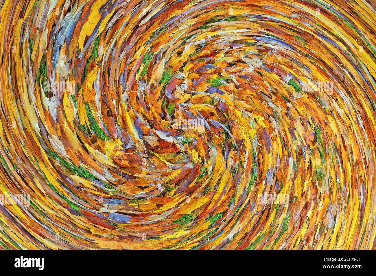 Riassunto: Turbolenza o spirale di foglie d'autunno cadute Foto Stock