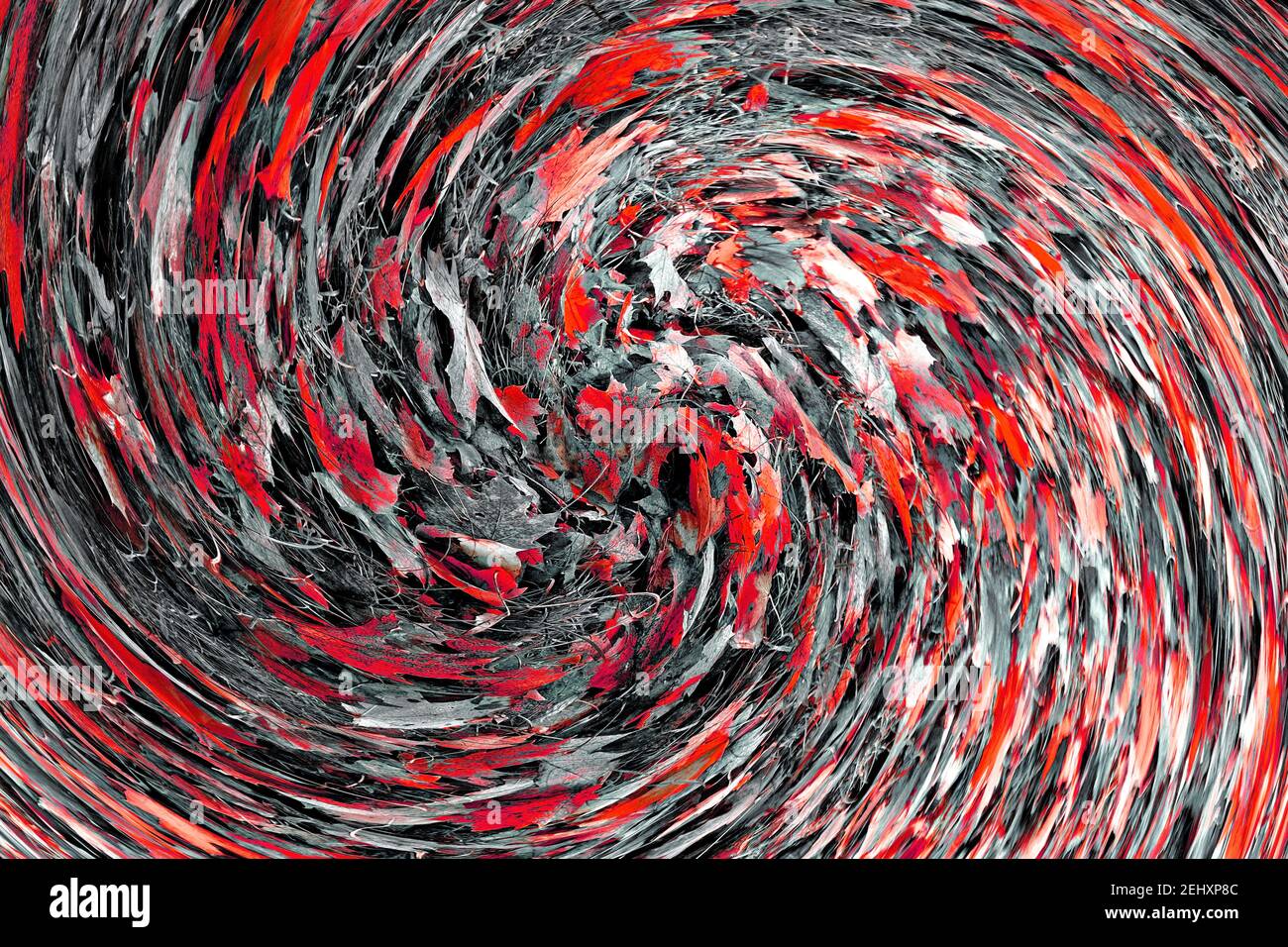 Riassunto: Vortice o spirale di foglie d'autunno tinte rosse che giacciono su erbe grigie Foto Stock
