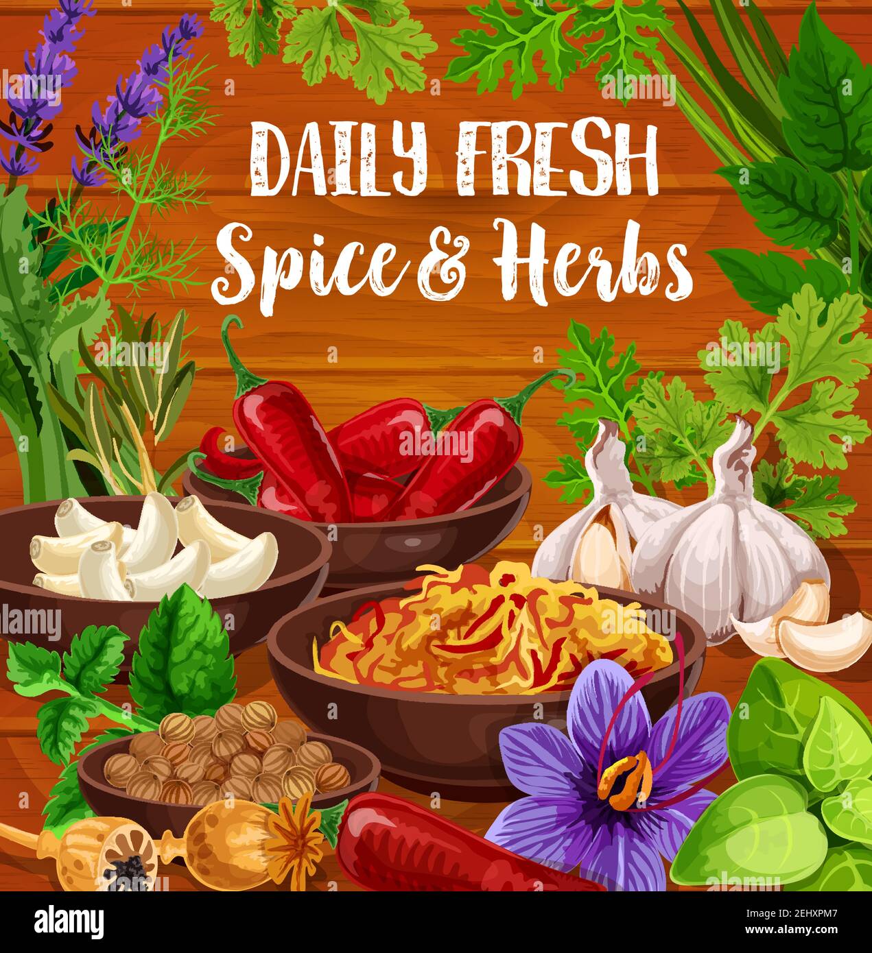 Condimenti di erbe e spezie da cucina, vettore. Peperoncino e aglio, noce moscata e papavero, zafferano fresco e secco. Rosmarino e menta, basilico e aneto, silante Illustrazione Vettoriale