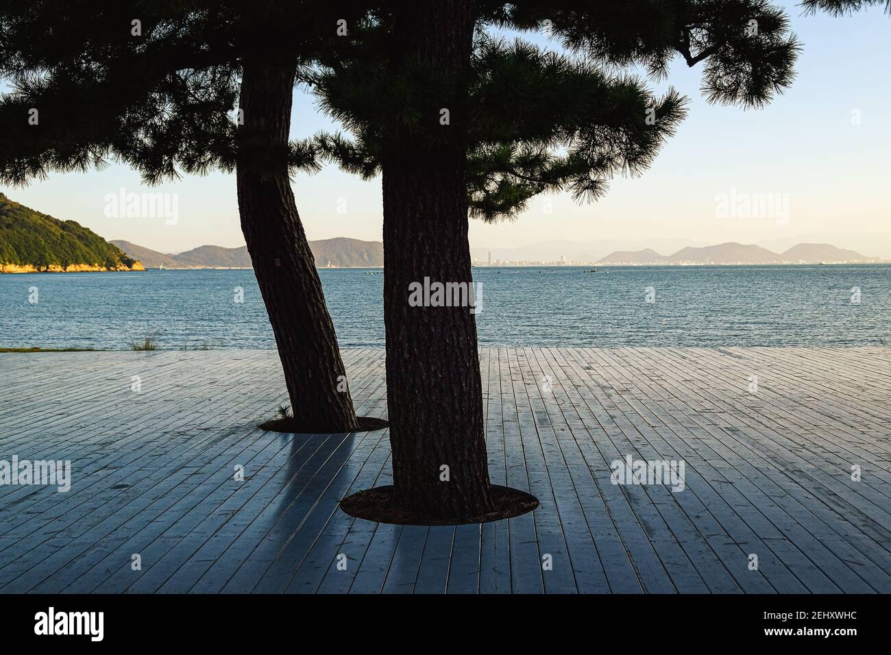 Vista verso il mare dal ponte di legno con due pini sulla riva dell'isola di Naoshima, Giappone, tramonto nebbiato durinng con il Ponte del Grande Seto Foto Stock