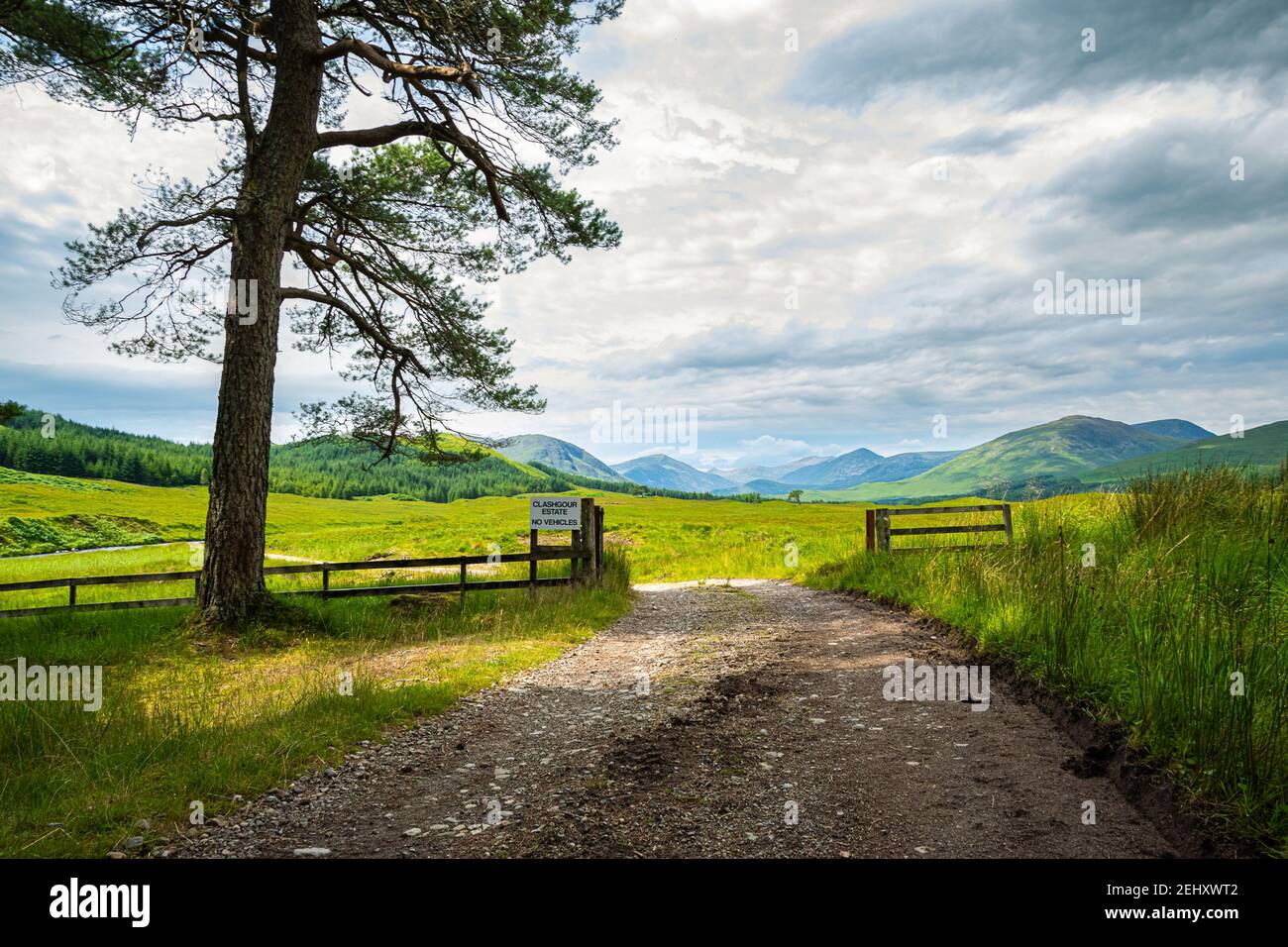 Strada che conduce in una pittoresca valle verde nelle Highlands scozzesi vicino al Ponte di Orchy. Foto Stock