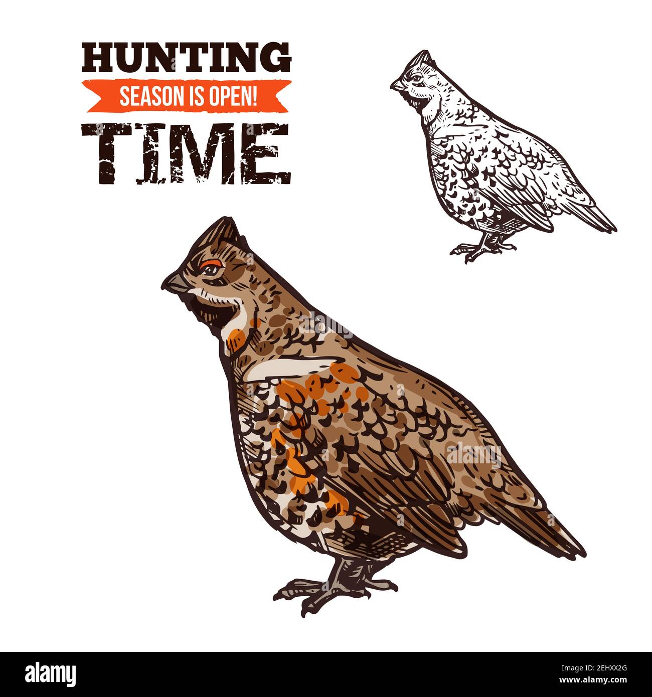 Schizzo vettoriale Grouse bird. Hunter trofeo uccello selvatico, gallo di nocciola, caccia tempo aperto stagione Illustrazione Vettoriale