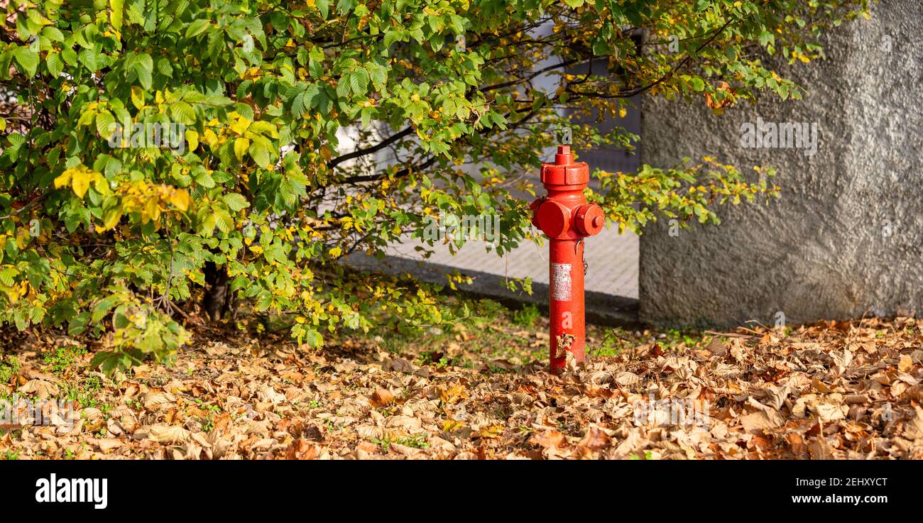 idrante rosso circondato da foglie secche cadute in autunno Foto Stock