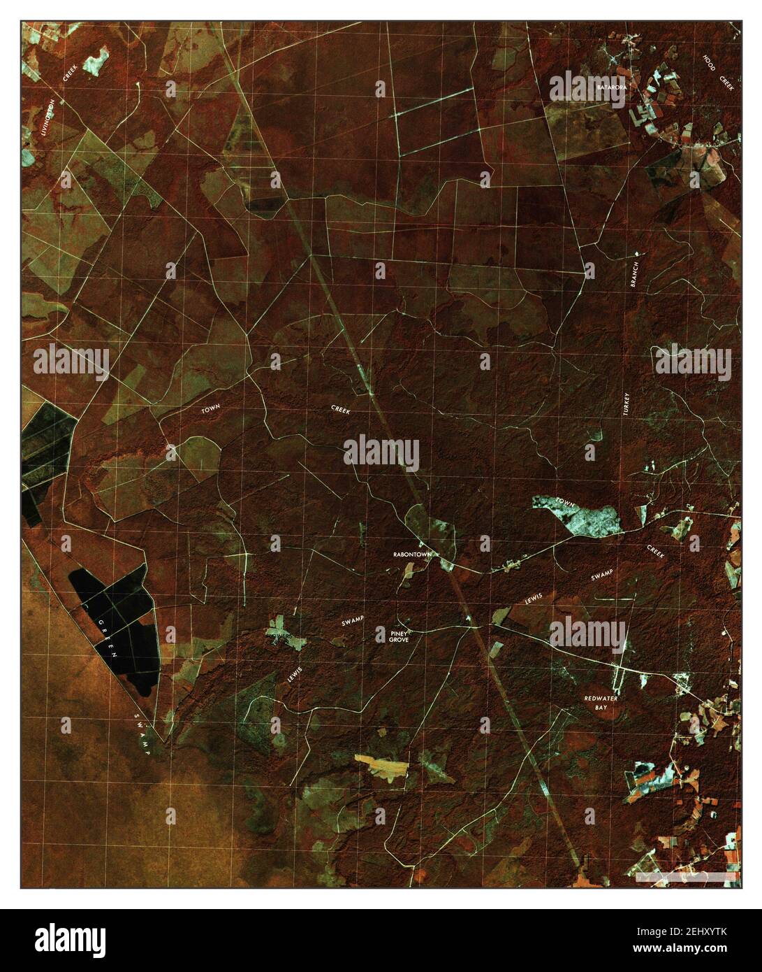 Lewis Swamp, North Carolina, map 1980, 1:24000, United States of America by Timeless Maps, data U.S. Geological Survey Foto Stock