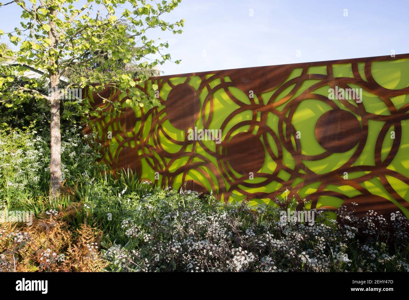 Un giardino moderno corten acciaio verde recinzione pannelli giardino -  Primavera -fiore bordo - cielo blu - Corylus colurna - Un albero di  nocciolo turco-Inghilterra UK Foto stock - Alamy